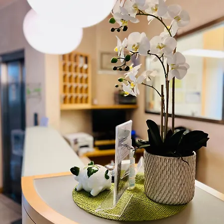 Hotel Eco Ariston 3*