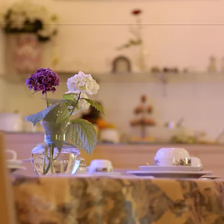 Eco Ariston Hotel Malcesine