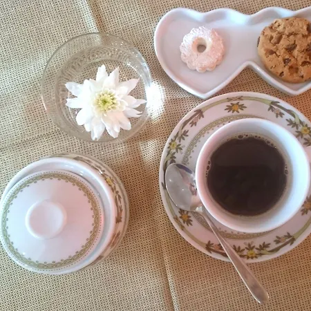 Hotel Eco Ariston 3*