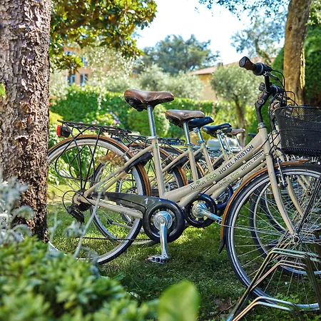 Eco Ariston مالتشيزينيه