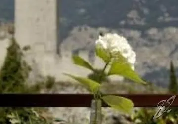 Eco Ariston Szálloda