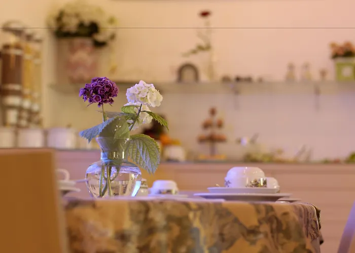 Eco Ariston Hotel Malcesine