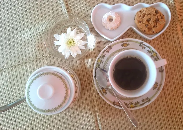 Hotel Eco Ariston 3*